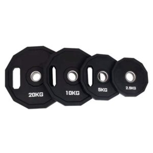 12-Sided Rubber Weight Plates