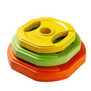 2 Hand Grips Weight Plates