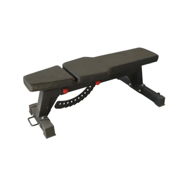 Adjustable Sit Up Bench - Image 3