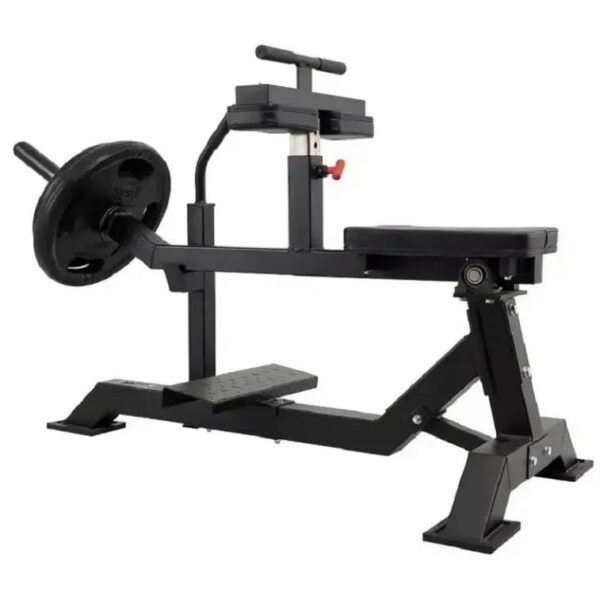 Calf Machine Seated - Image 2