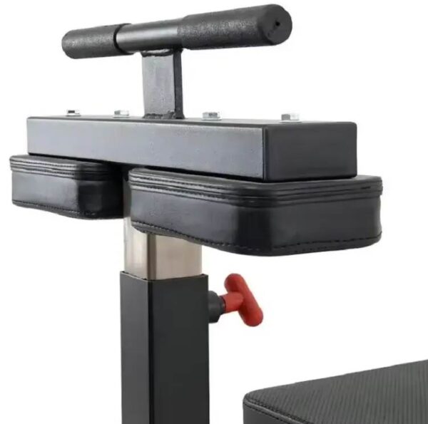 Calf Machine Seated - Image 3