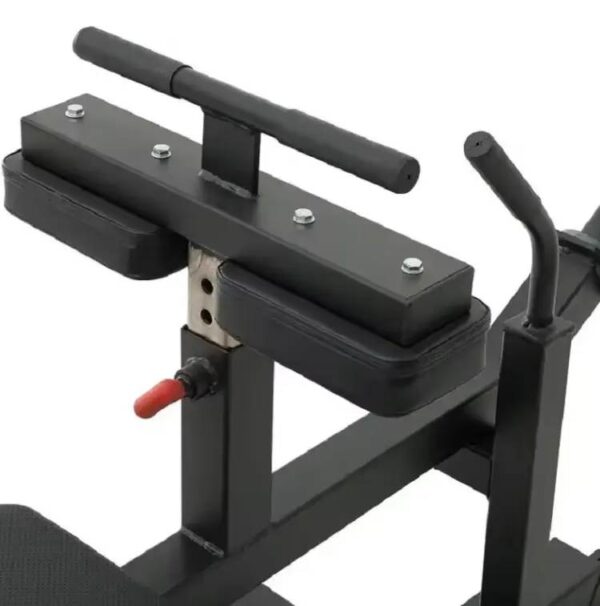 Calf Machine Seated - Image 4